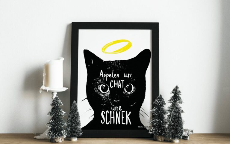 Cadeau pour Noël offrez une affiche humoristique