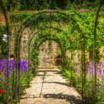 arche jardin
