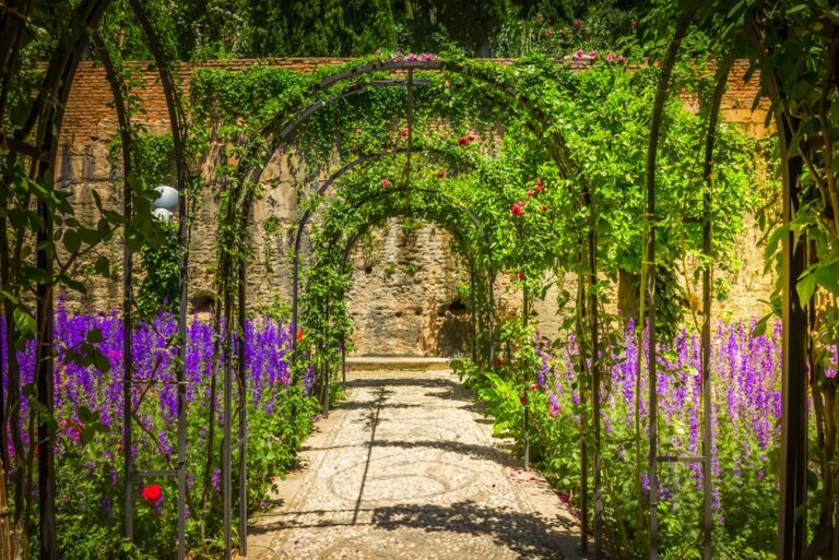 arche jardin